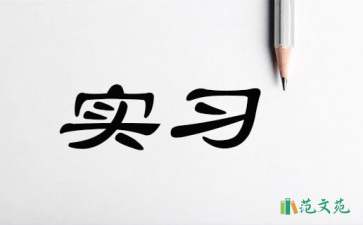 有關(guān)實踐實習(xí)報告模板九篇