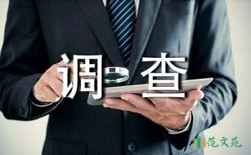 大學生兼職調查報告15篇