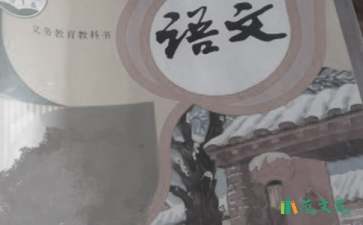 初二語文教學的心得體會范文（通用6篇）