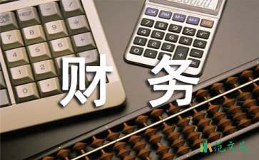公司財務試用期工作總結