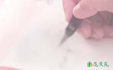 試用期工作總結集錦15篇