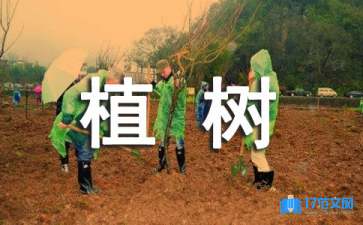 植樹(shù)的牧羊人教學(xué)反思