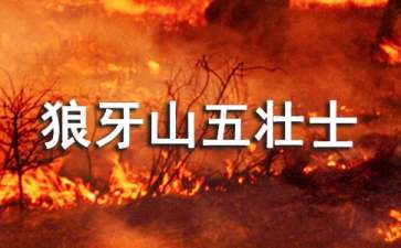 《狼牙山五壯士》教學(xué)設(shè)計(精選15篇)