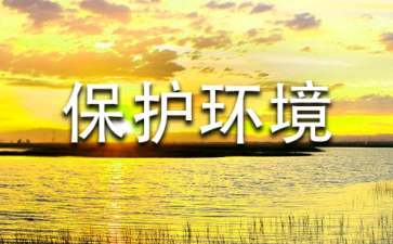 保護(hù)環(huán)境建議書(shū)作文600字
