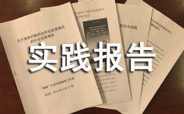 輔導社會實踐報告