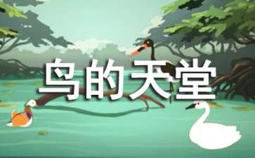 鳥(niǎo)的天堂教案匯總7篇